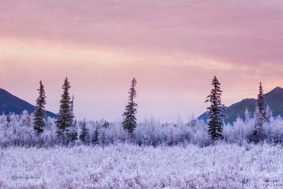 20161125-mma_9911_melinda_anderson-edit