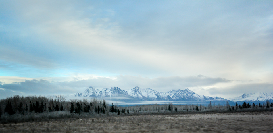 20161126-mma_0295_melinda_anderson-edit