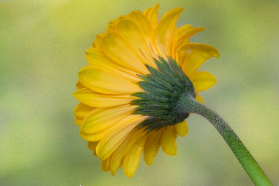 20161205-mma_0594_melinda_anderson-edit