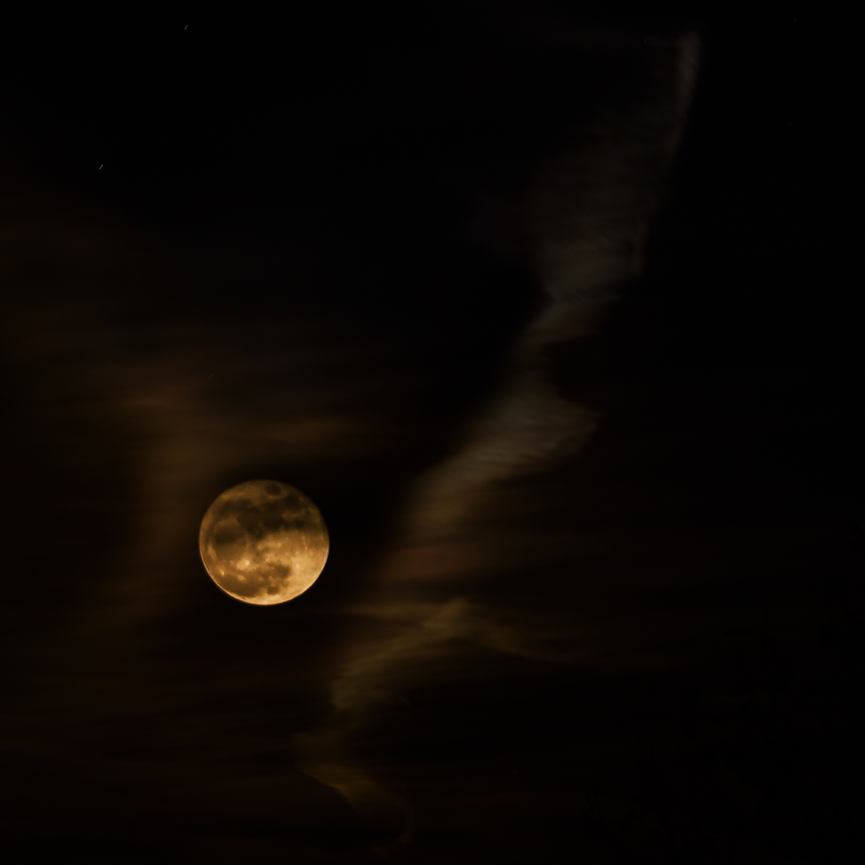 20161214-mma_0751_melinda_anderson-edit