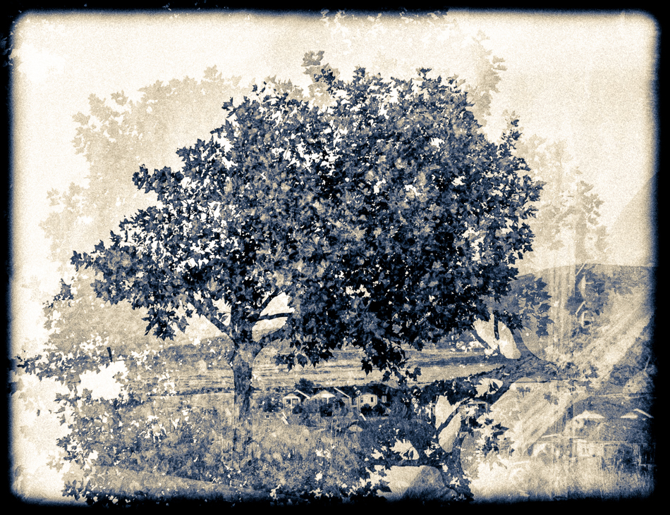 20161101-mma_7964_melinda_anderson-2