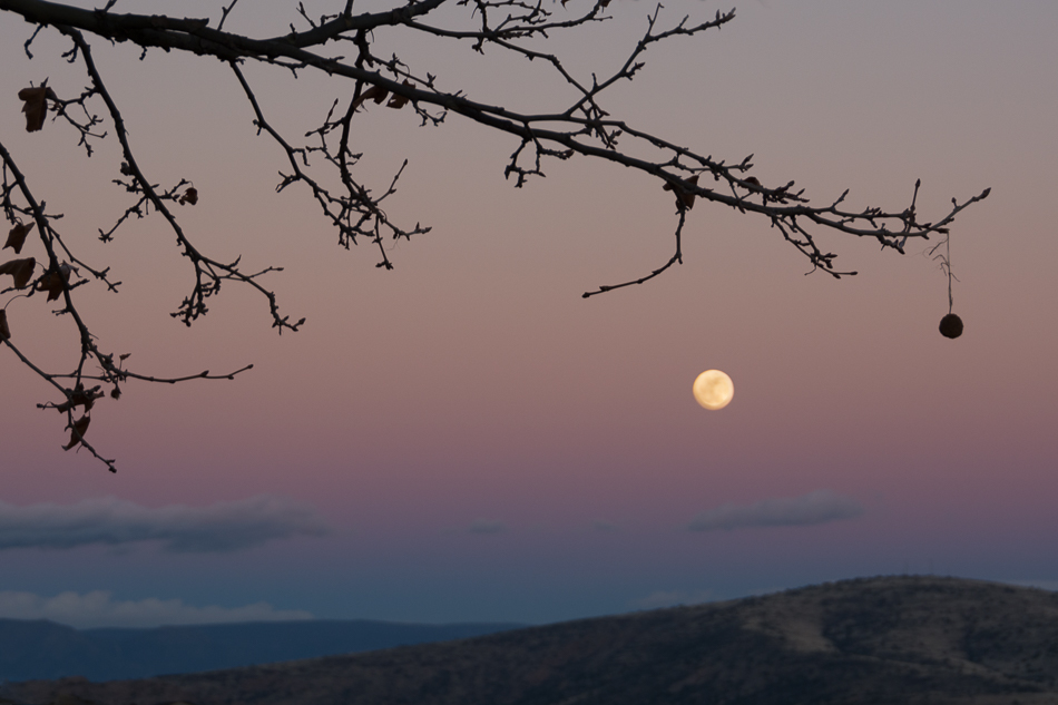 20170111-mma_1443_melinda_anderson-edit