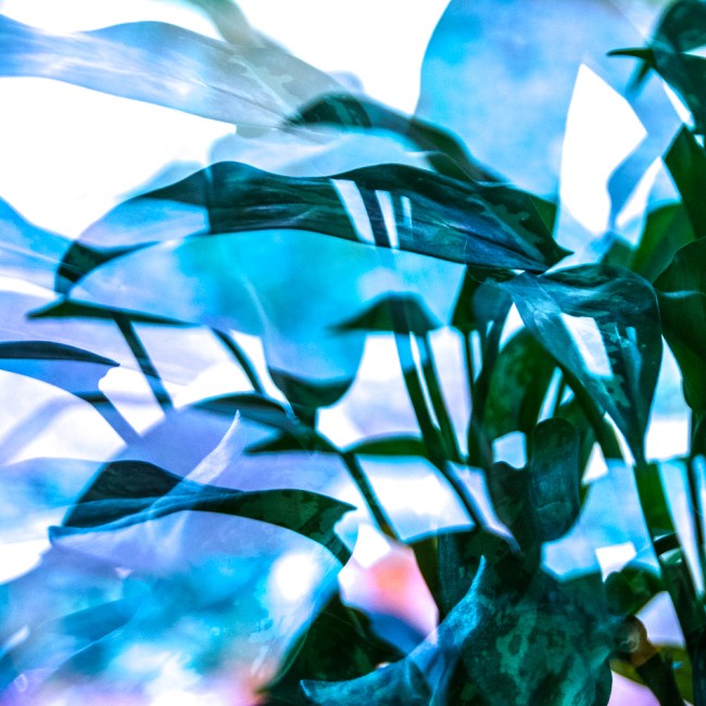 20170119-mma_1731_melinda_anderson