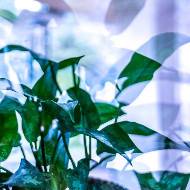 20170119-mma_1734_melinda_anderson