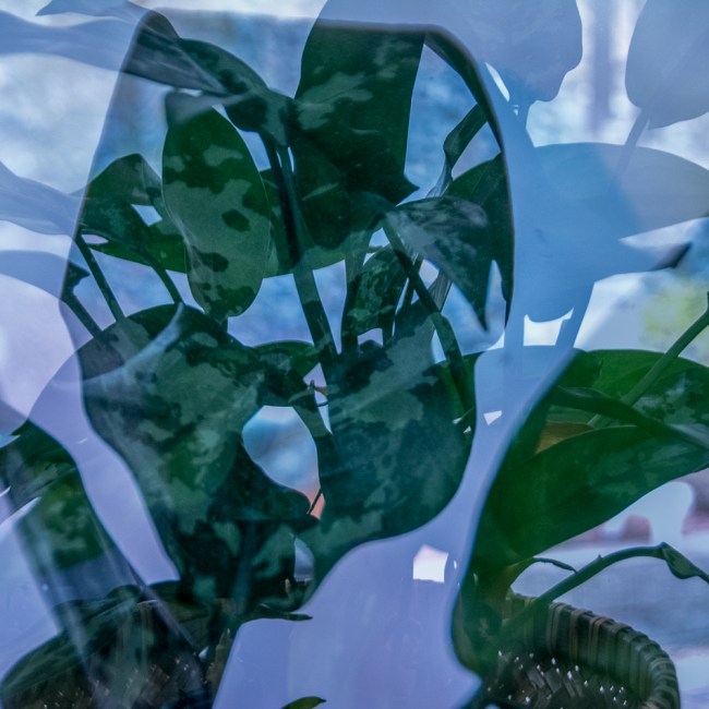 20170119-mma_1754_melinda_anderson