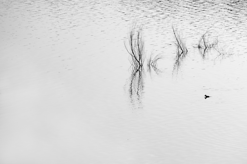 20170122-mma_1927_melinda_anderson-edit