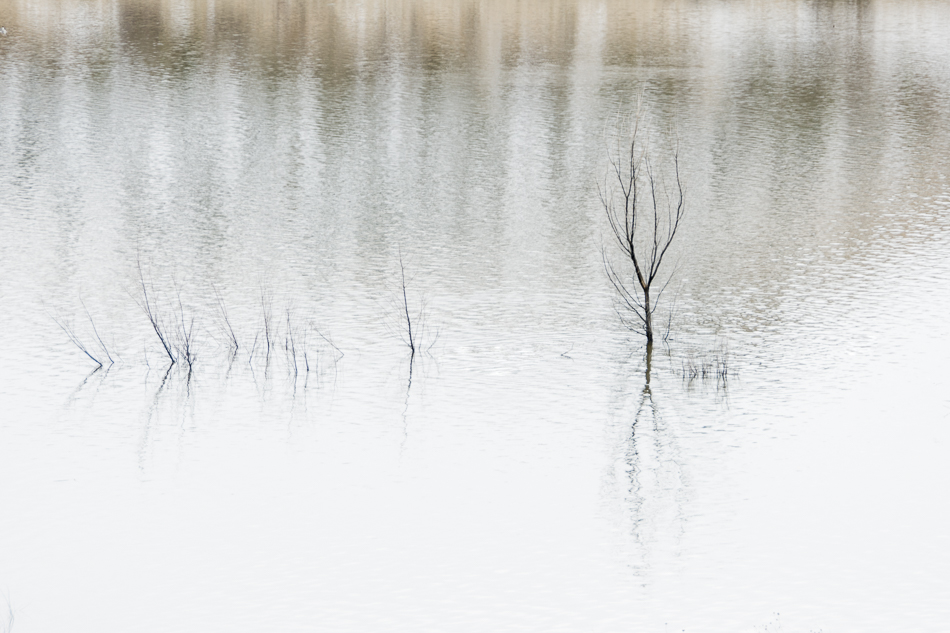 20170122-mma_1939_melinda_anderson-edit-2