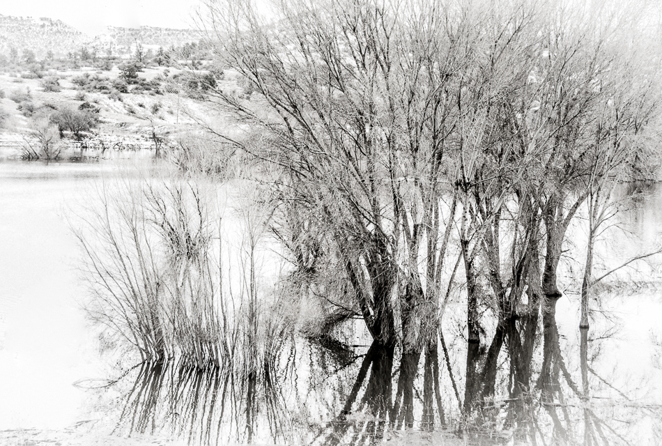 20170122-mma_1963_melinda_anderson-edit-2