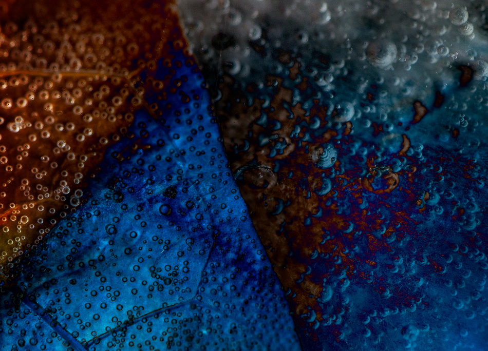 20170108-mma_1386_melinda_anderson-edit