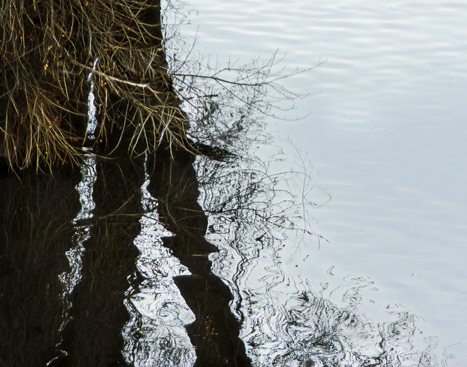 20170122-mma_1919_melinda_anderson-edit-2