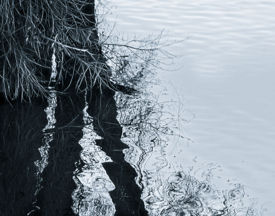 20170122-mma_1919_melinda_anderson-edit