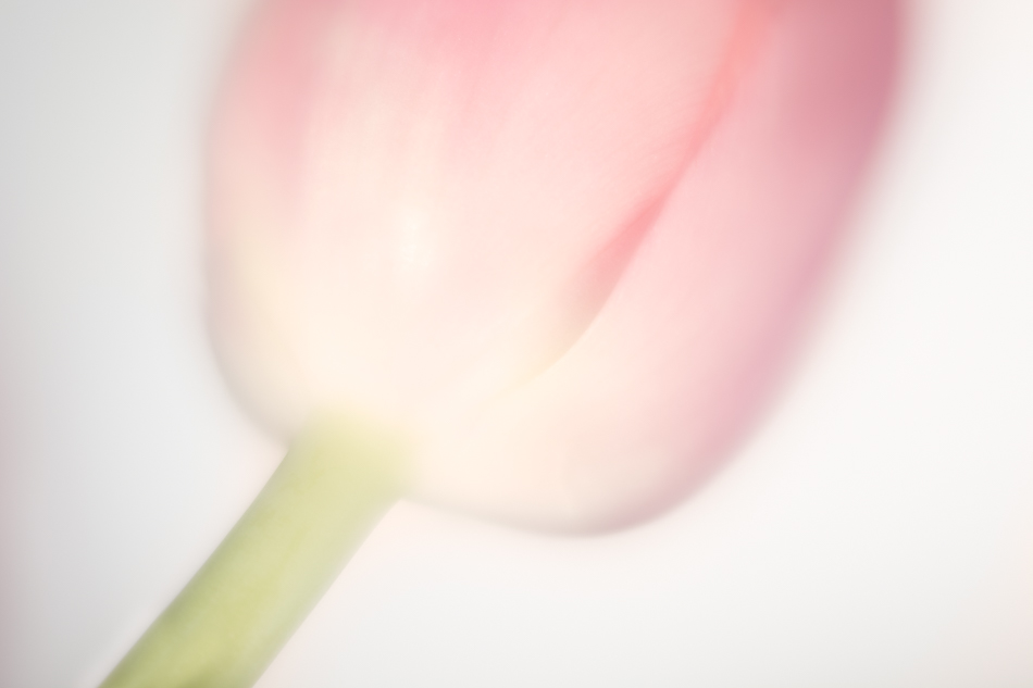 20170130-mma_2108_melinda_anderson-edit