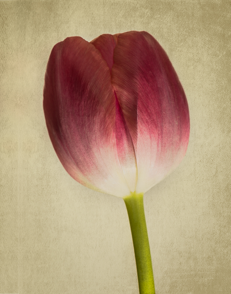 20170202-mma_2178_melinda_anderson-edit