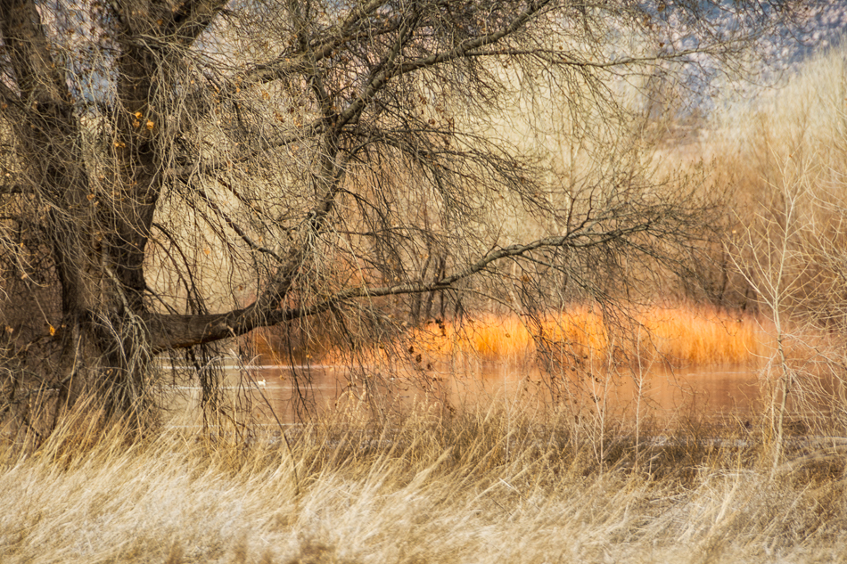 20170203-mma_2367_melinda_anderson-edit