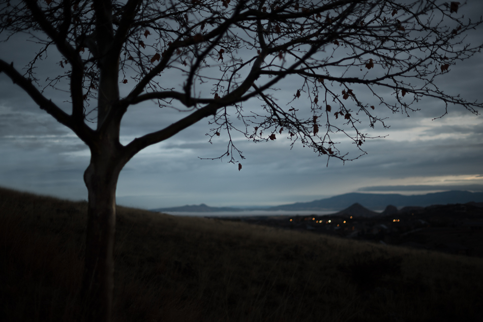 20170213-dsc_0093_melinda_anderson-edit