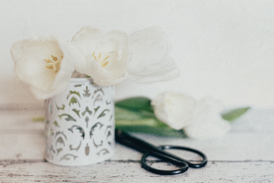 20170217-lin_0267_melinda_anderson-edit