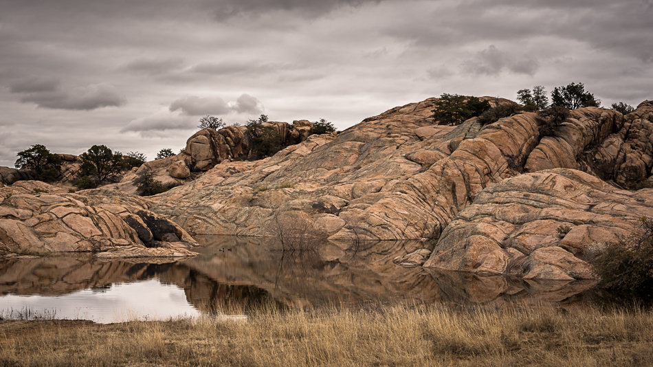 20170220-lin_0306_melinda_anderson-edit-2