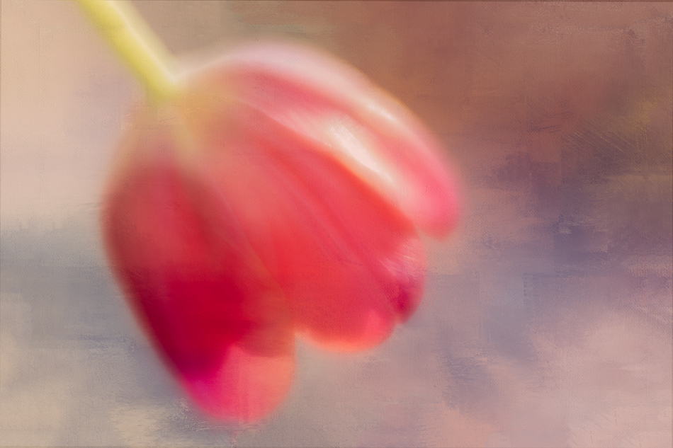 20170202-mma_2156_melinda_anderson-edit