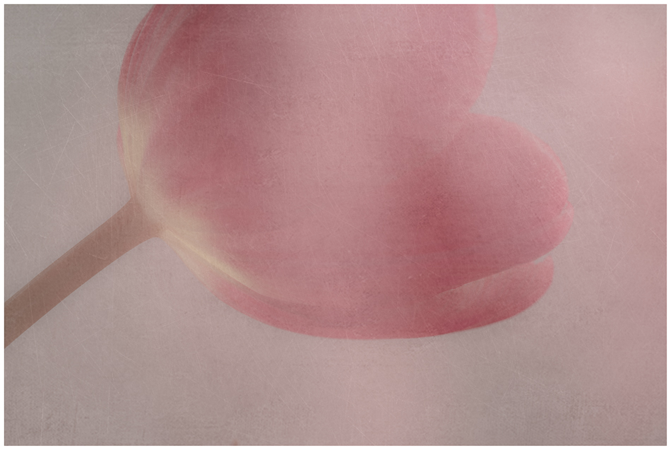 20170202-mma_2215_melinda_anderson-edit