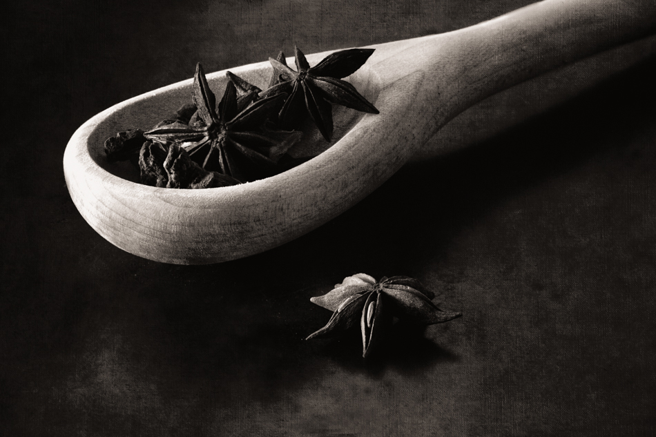 20181105-MMA_4681_melinda_anderson-Edit-2